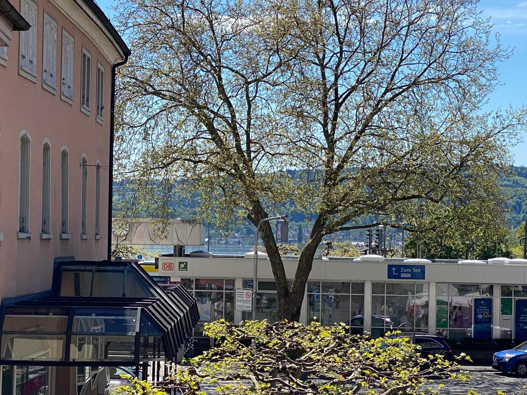 Ferienwohnung Seeromantik In 2 Minuten Am See Radolfzell am Bodensee Buitenkant foto