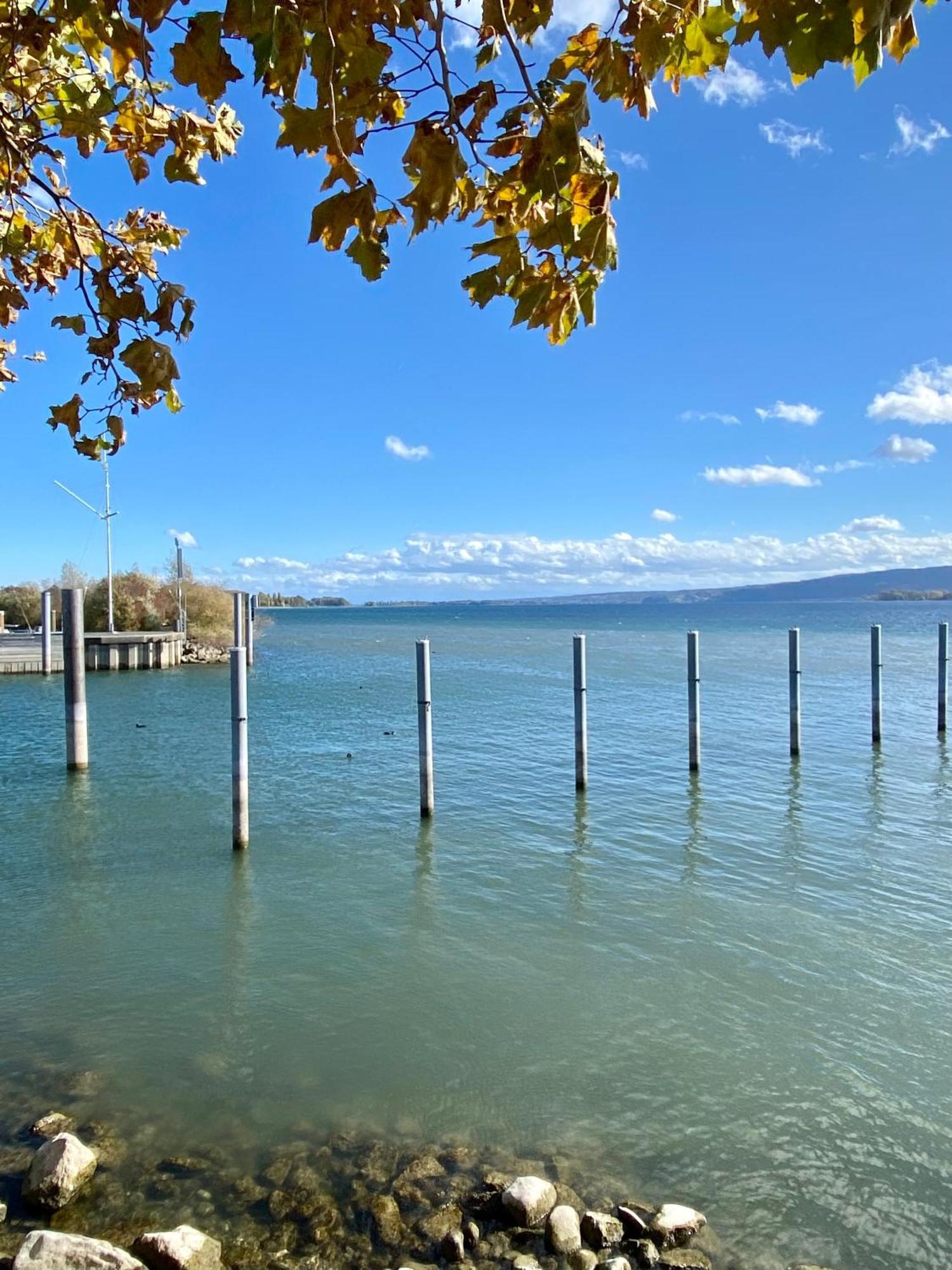 Ferienwohnung Seeromantik In 2 Minuten Am See Radolfzell am Bodensee Buitenkant foto